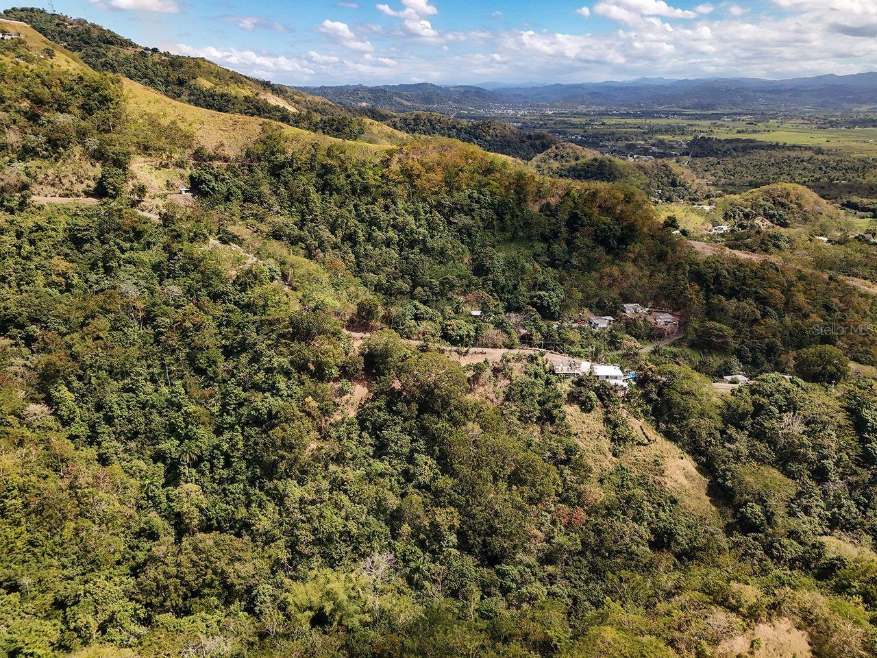 ANASCO — foto 4