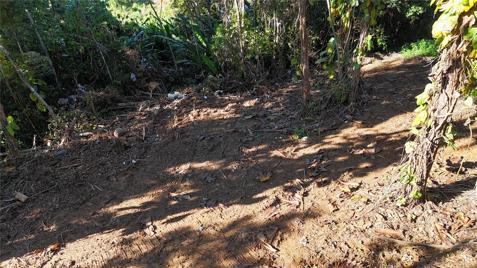 CANOVANAS — foto 2