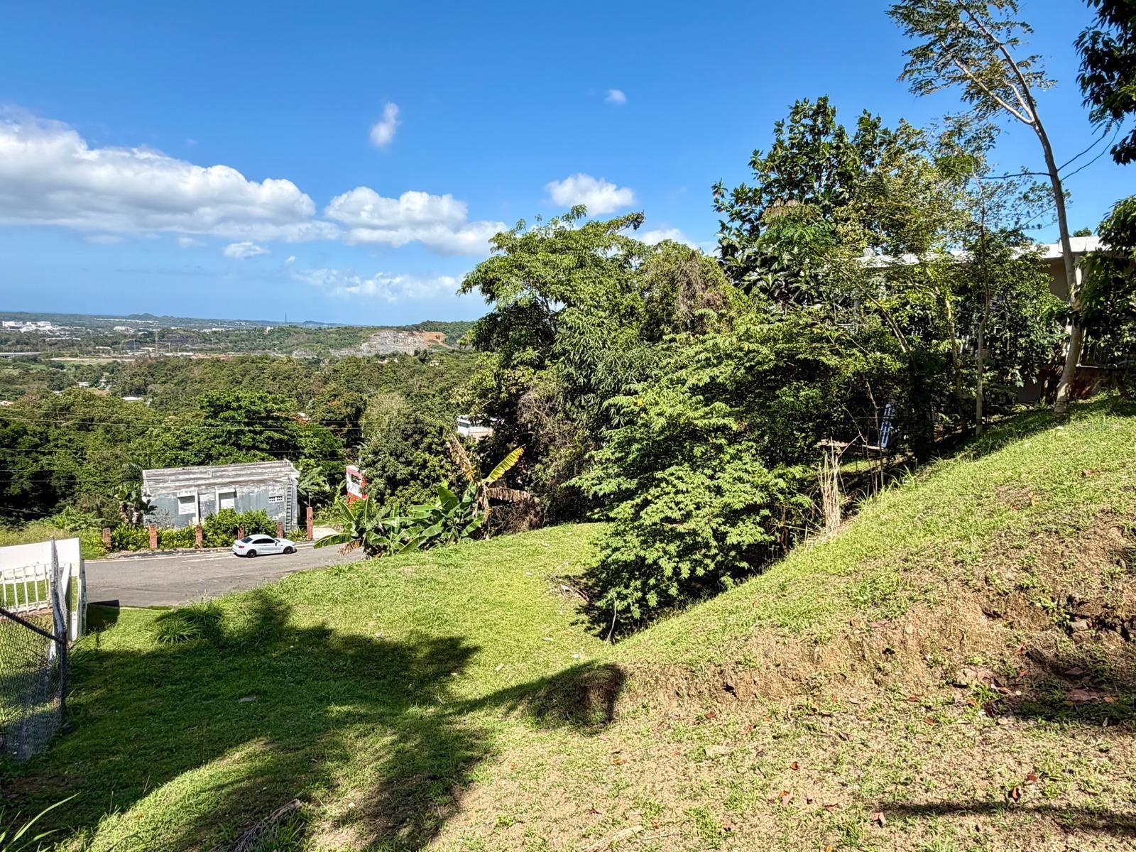 CAROLINA — foto 2