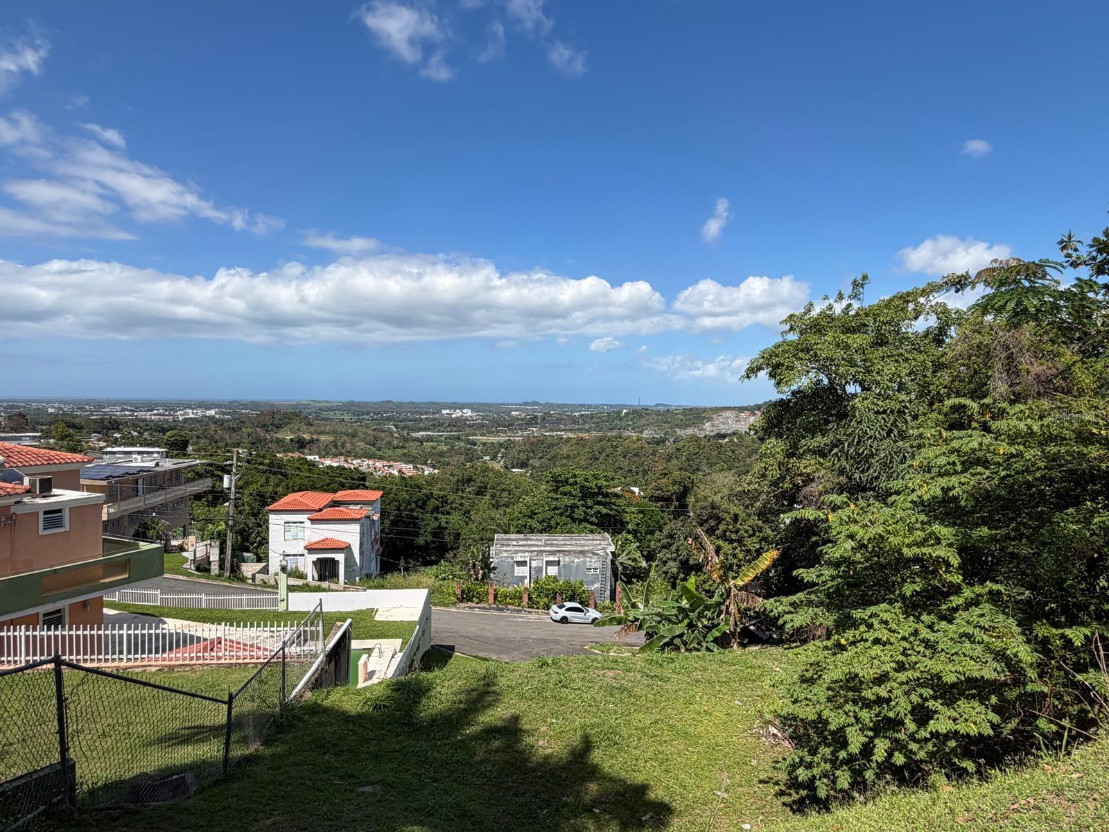 CAROLINA — foto 4
