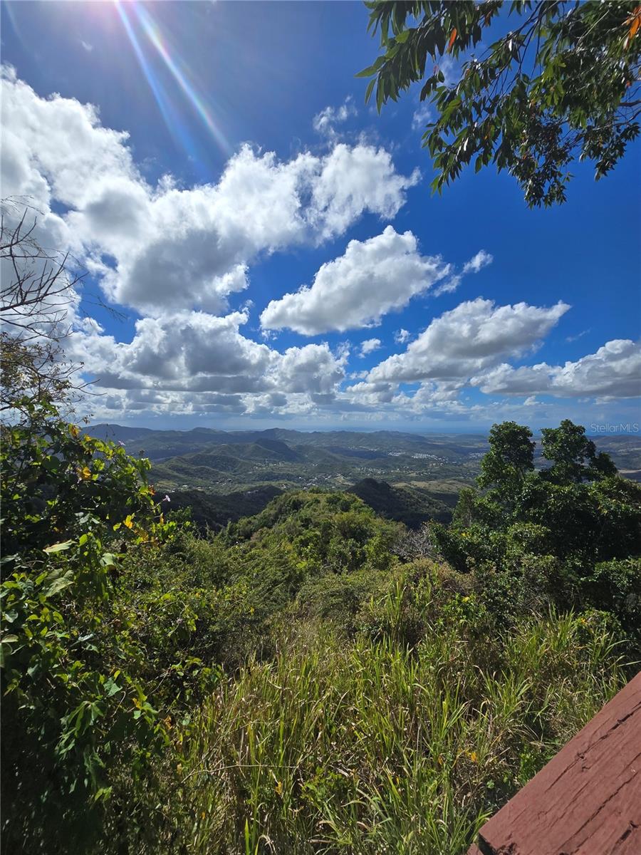 COAMO — foto 3