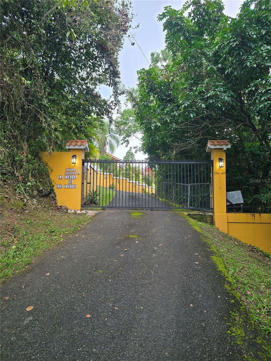 COAMO — foto 4