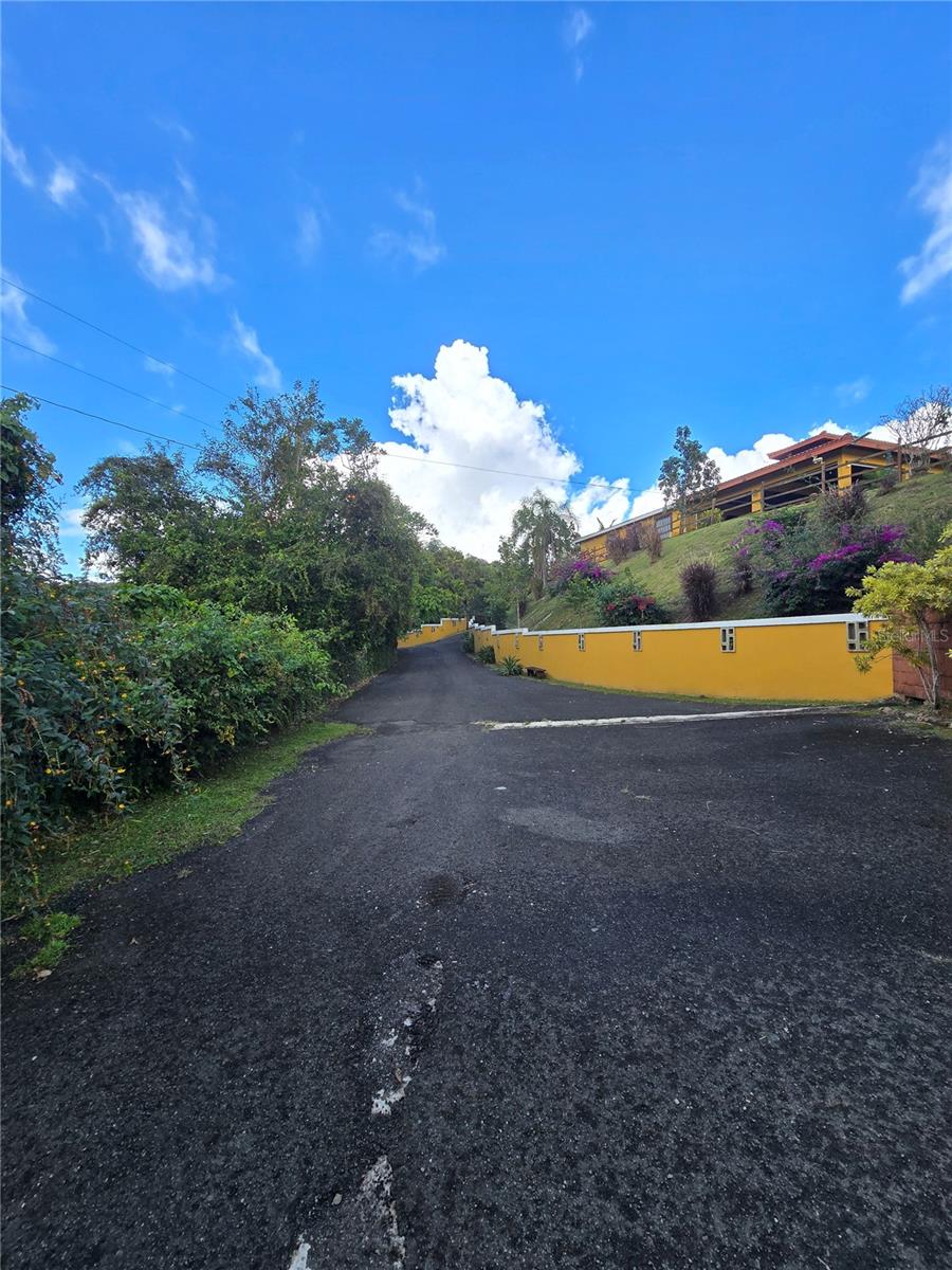 COAMO — foto 5
