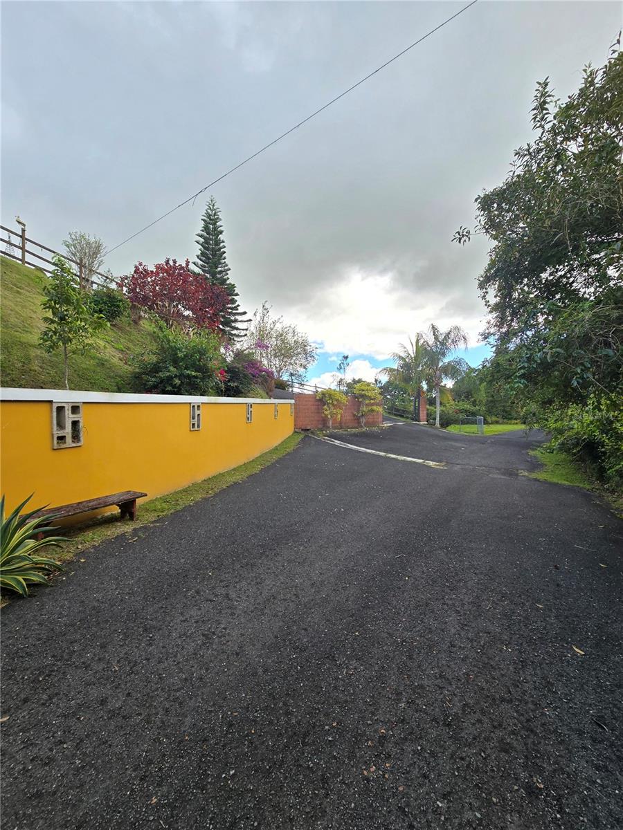 COAMO — foto 6