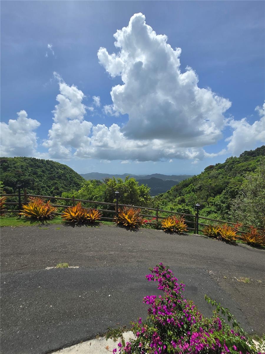 COAMO — foto 7