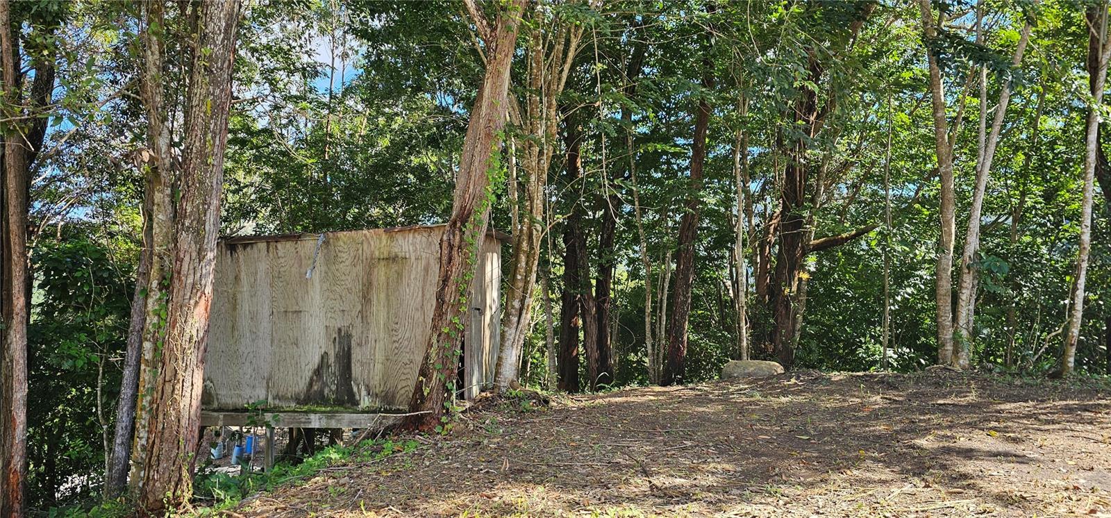 CAYEY — foto 5