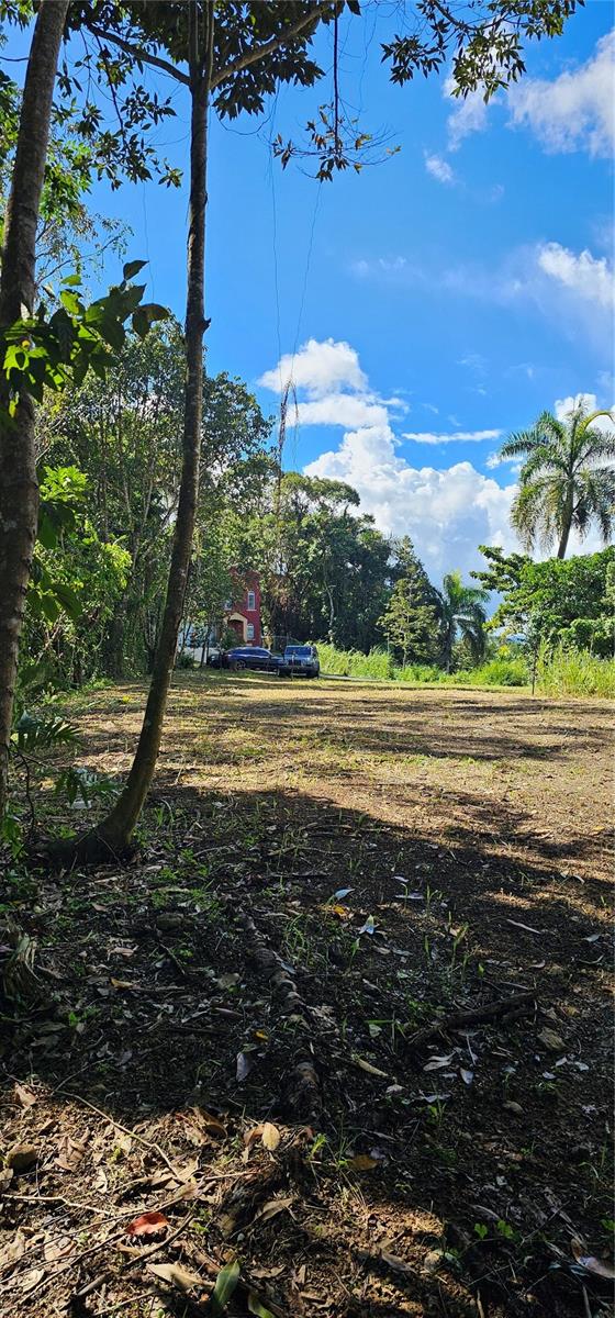 CAYEY — foto 8