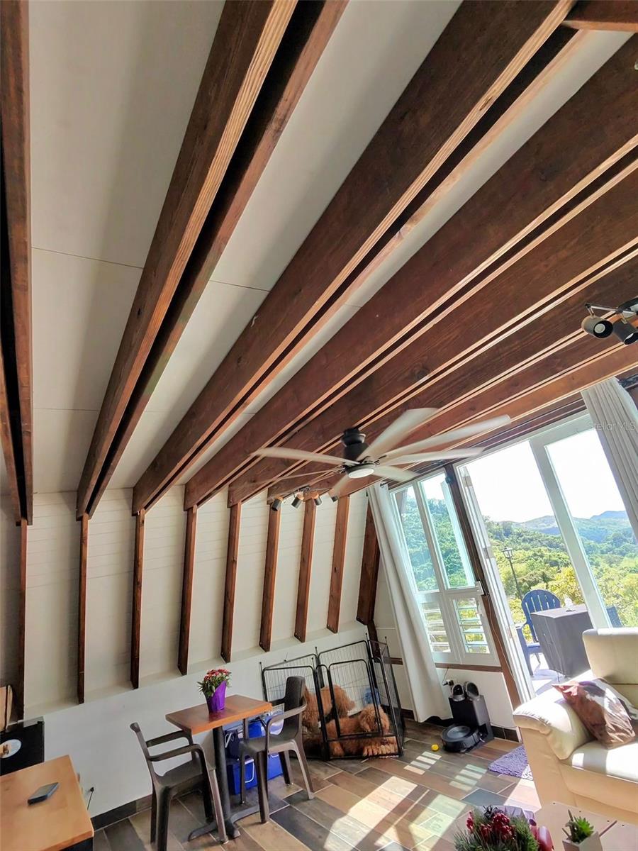 AIBONITO — foto 10