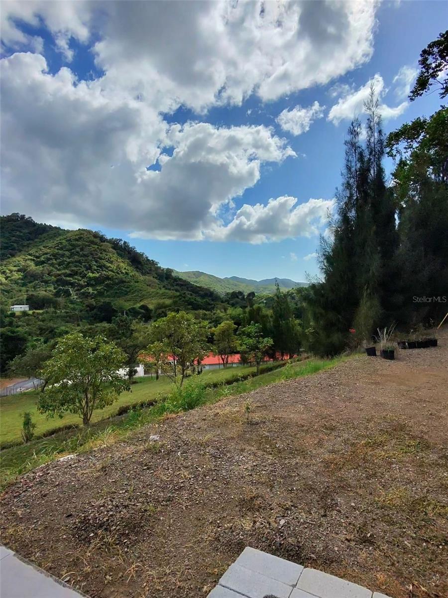 AIBONITO — foto 8