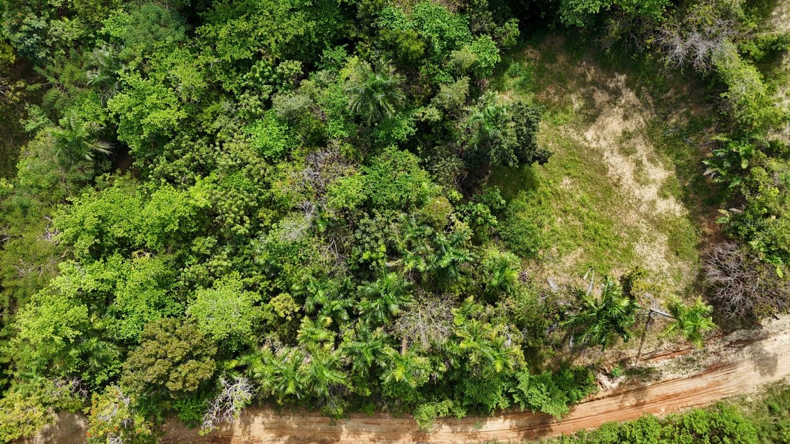 RINCON — foto 2