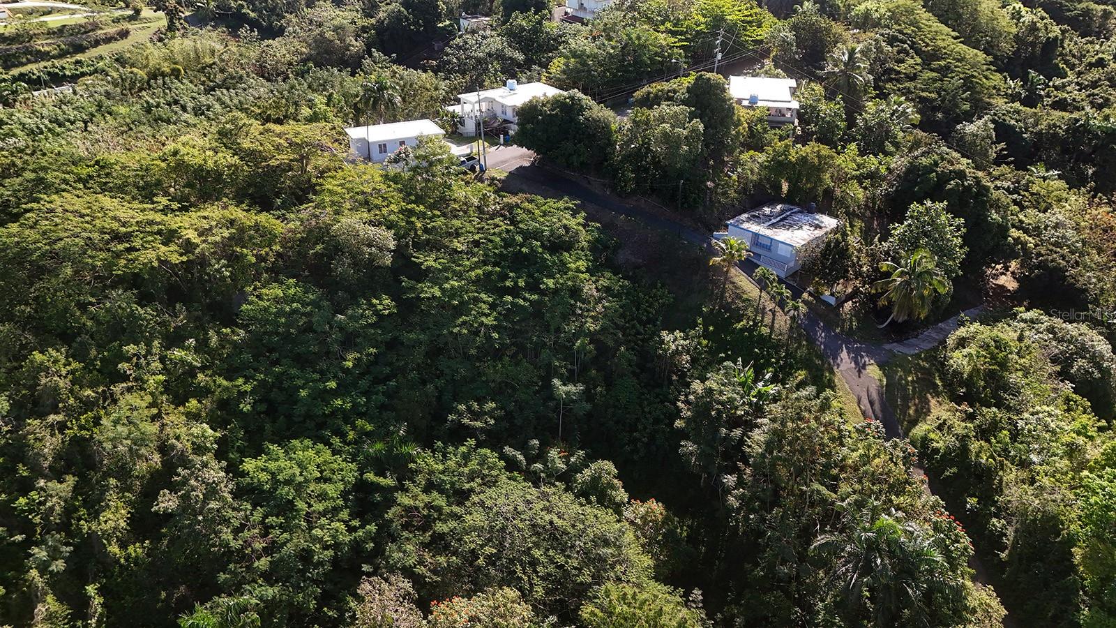 RINCON — foto 6