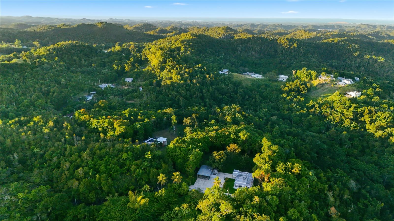 VEGA ALTA — foto 2
