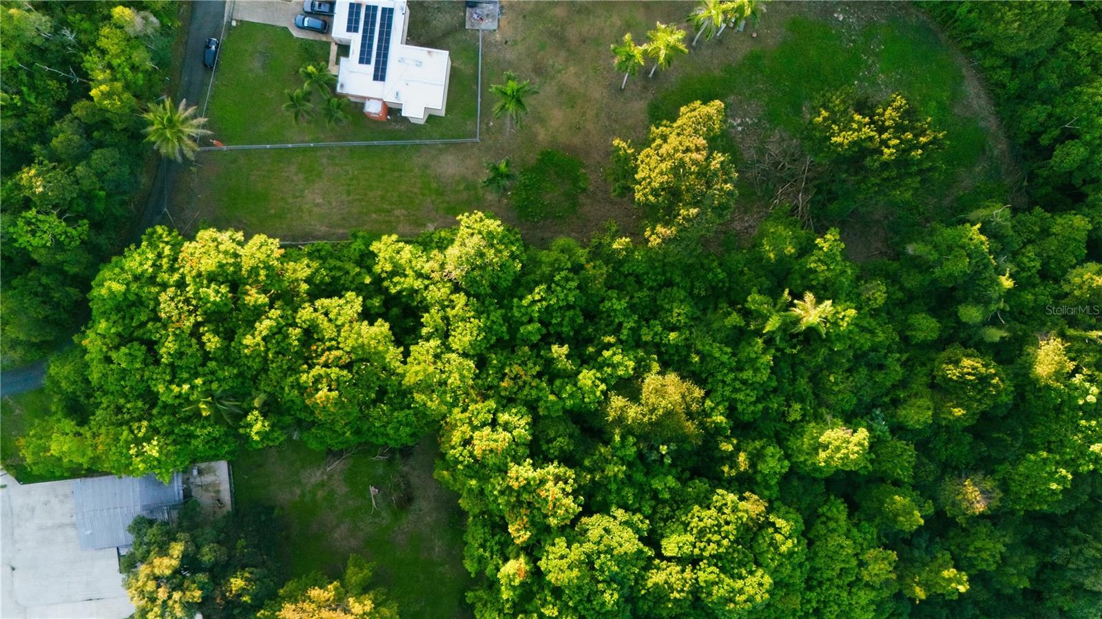 VEGA ALTA — foto 3