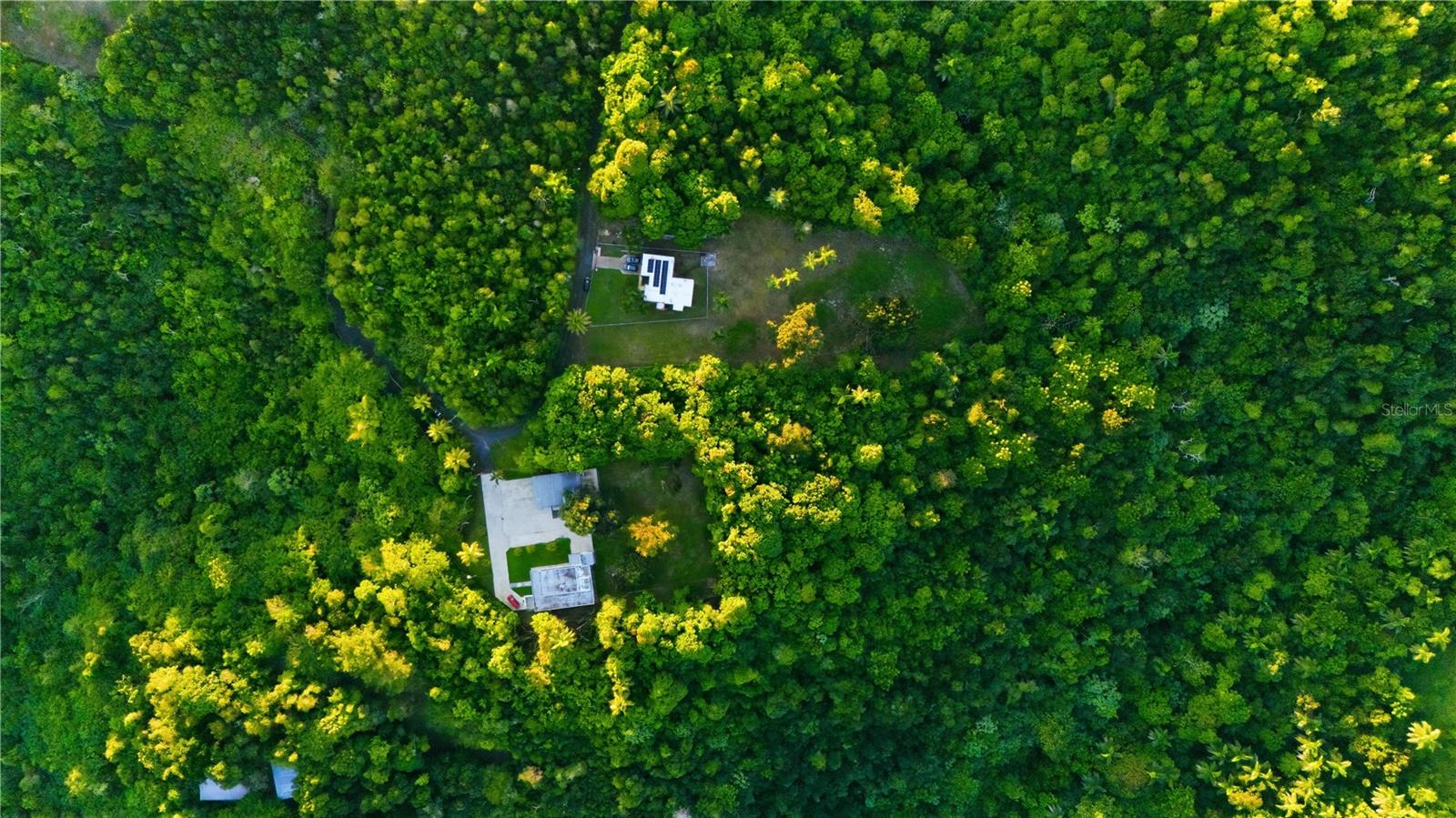 VEGA ALTA — foto 5