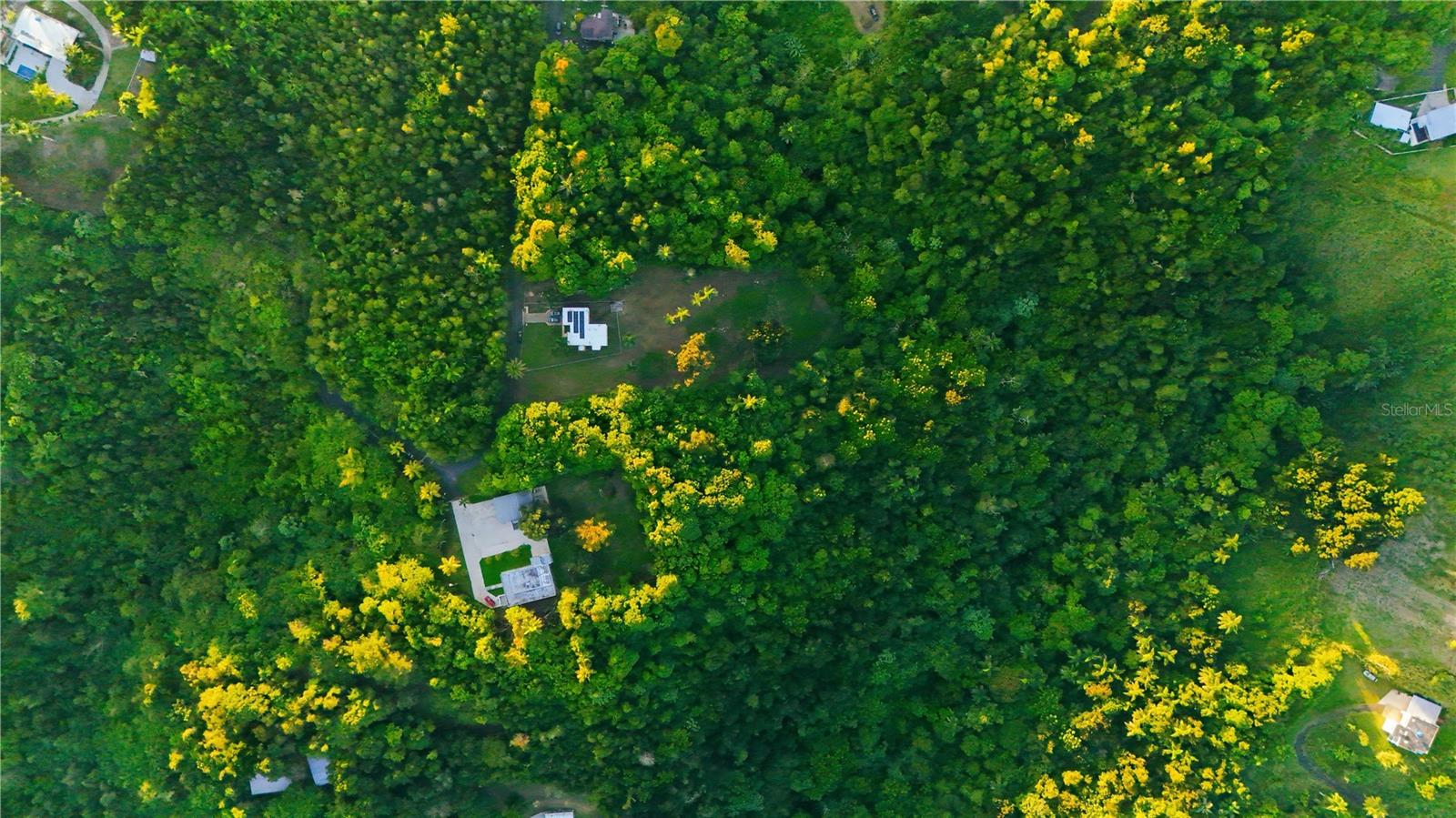 VEGA ALTA — foto 6
