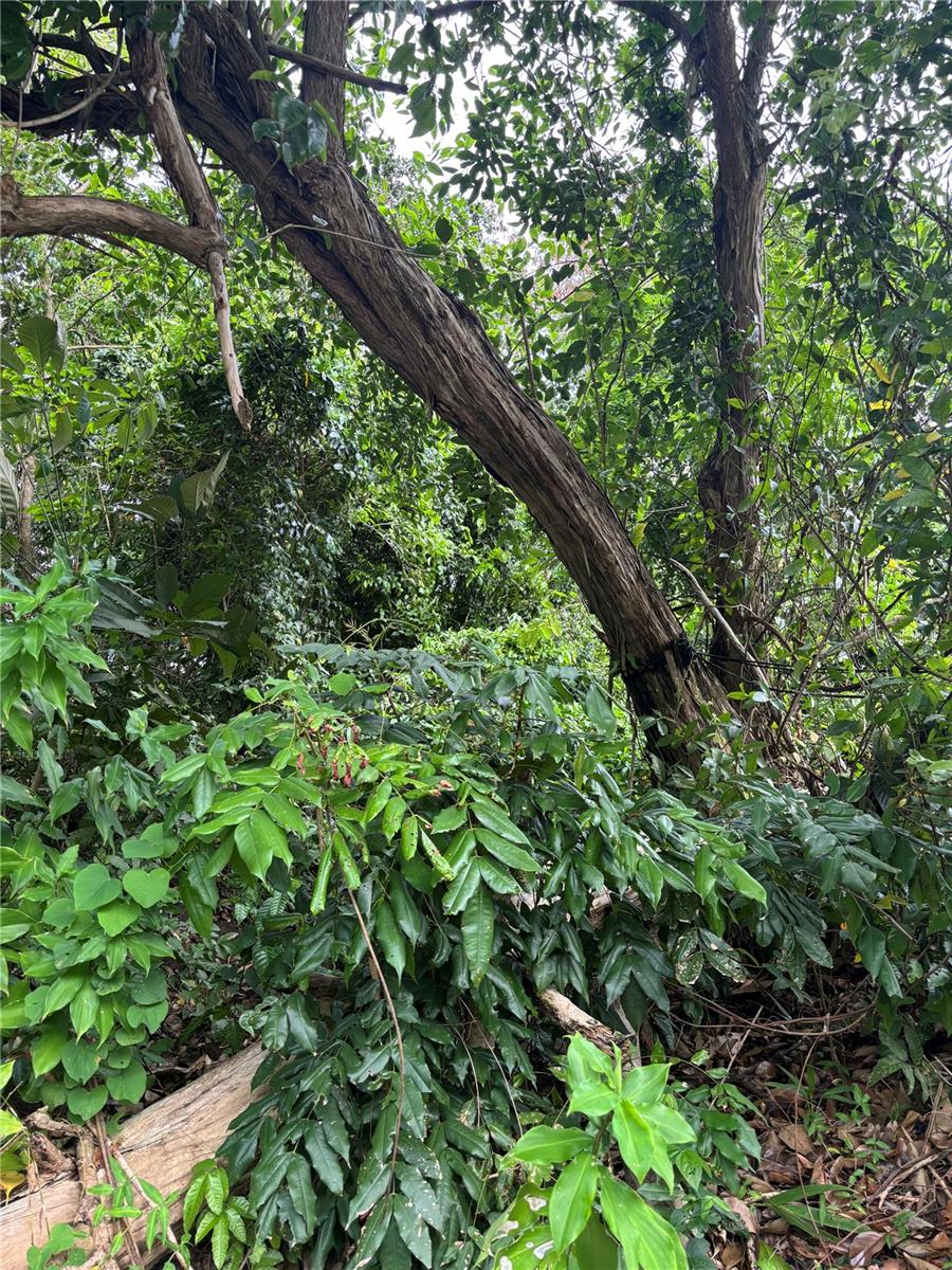 SAN JUAN — foto 5