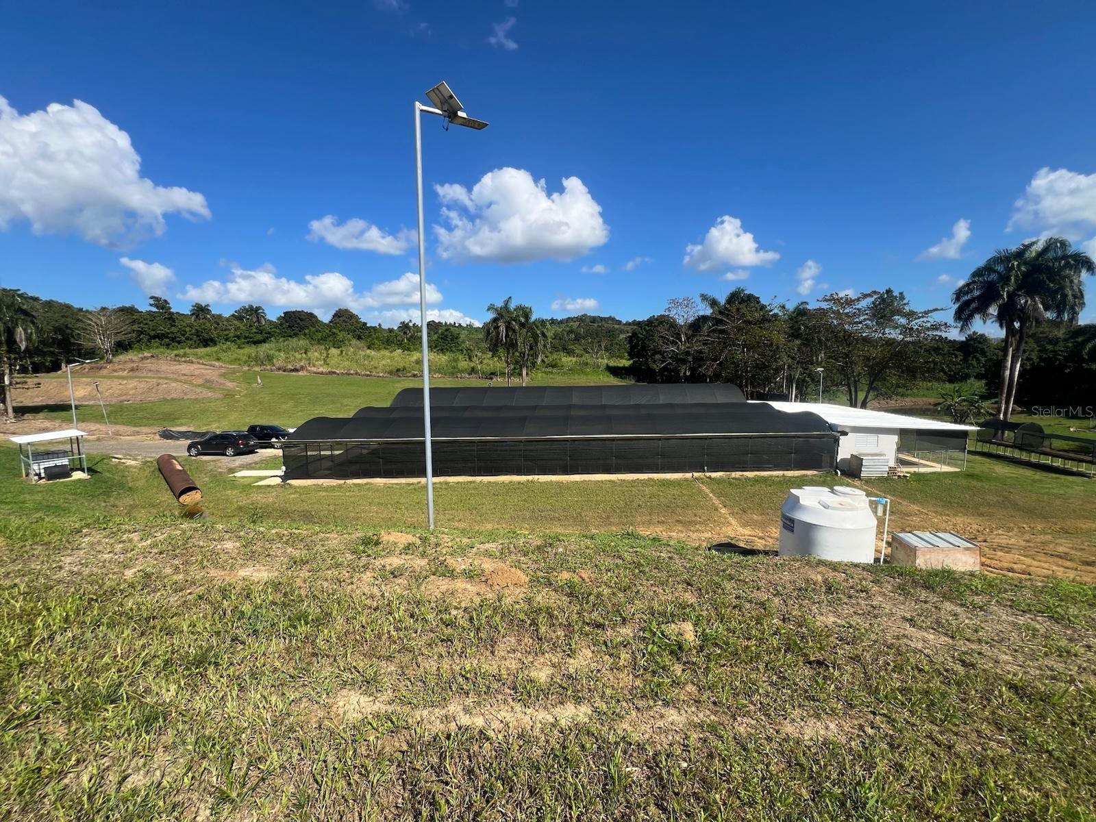 MOROVIS — foto 2