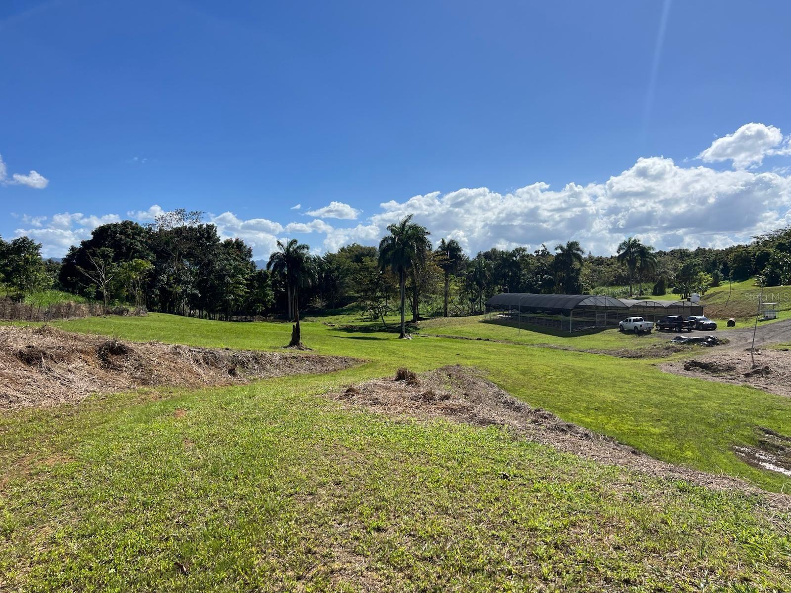 MOROVIS — foto 3