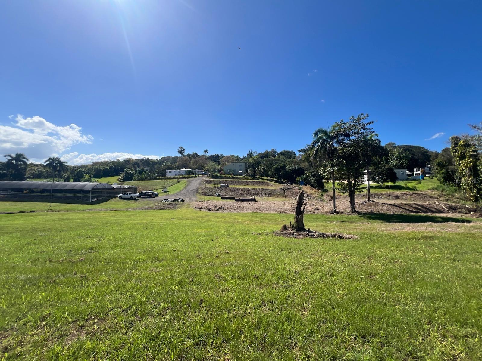 MOROVIS — foto 4