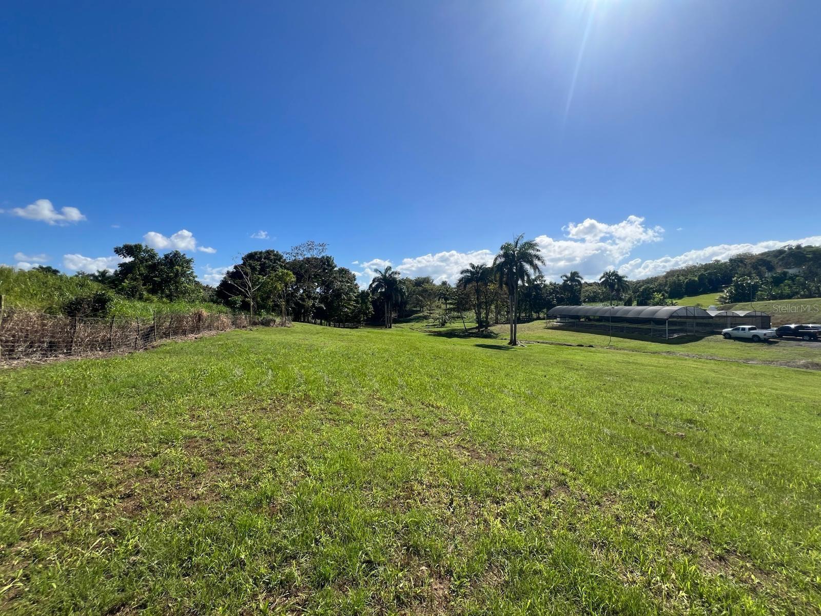 MOROVIS — foto 5