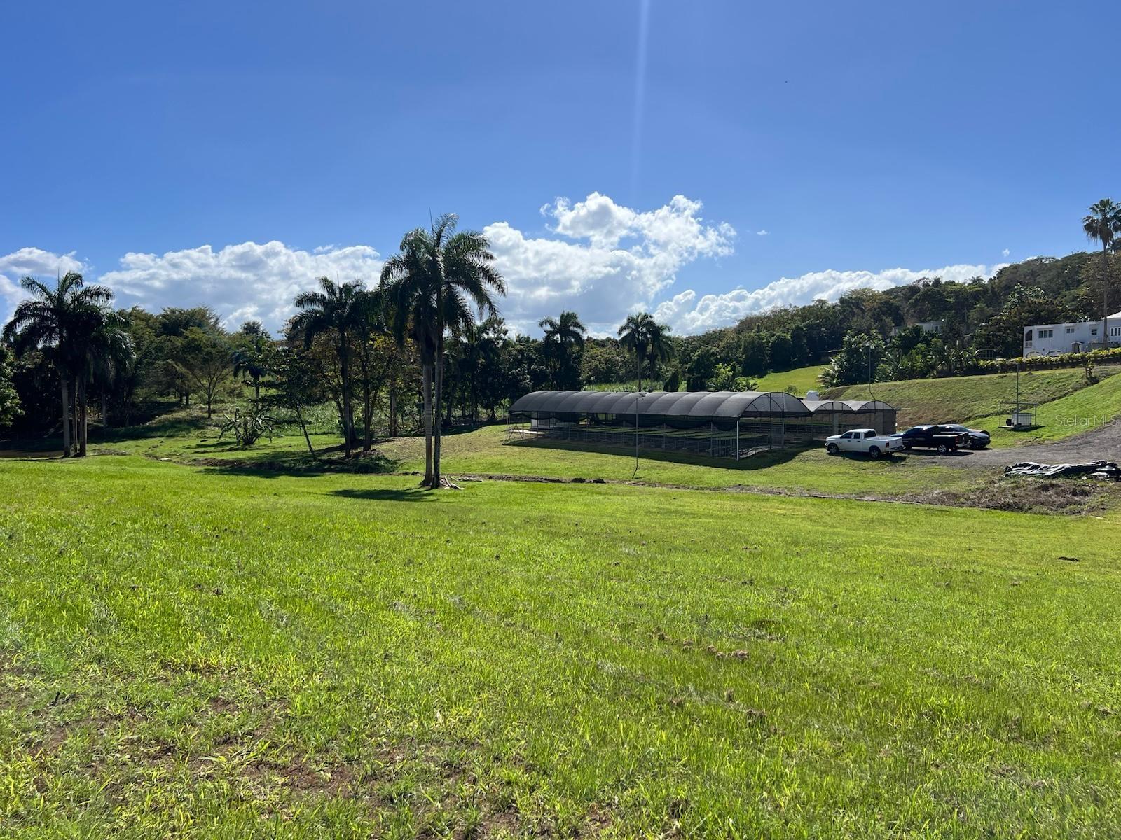 MOROVIS — foto 10