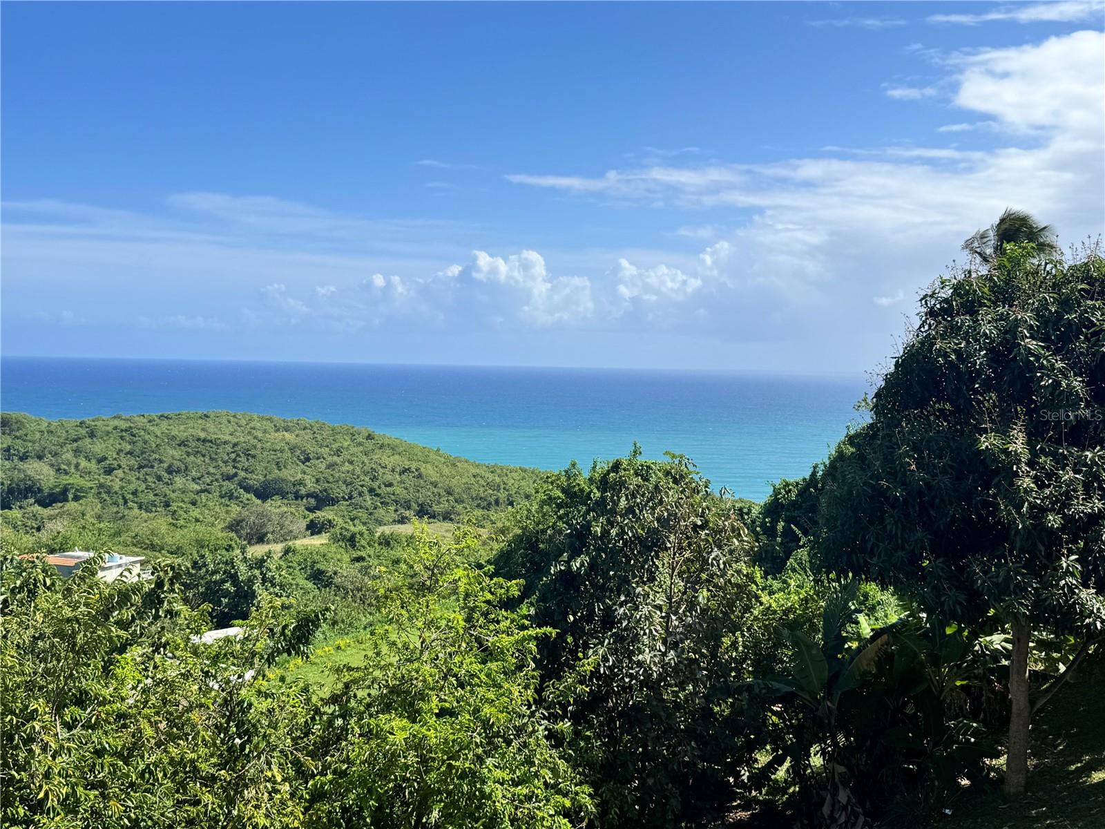 YABUCOA — foto 2