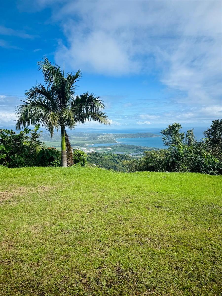 YABUCOA — foto 2