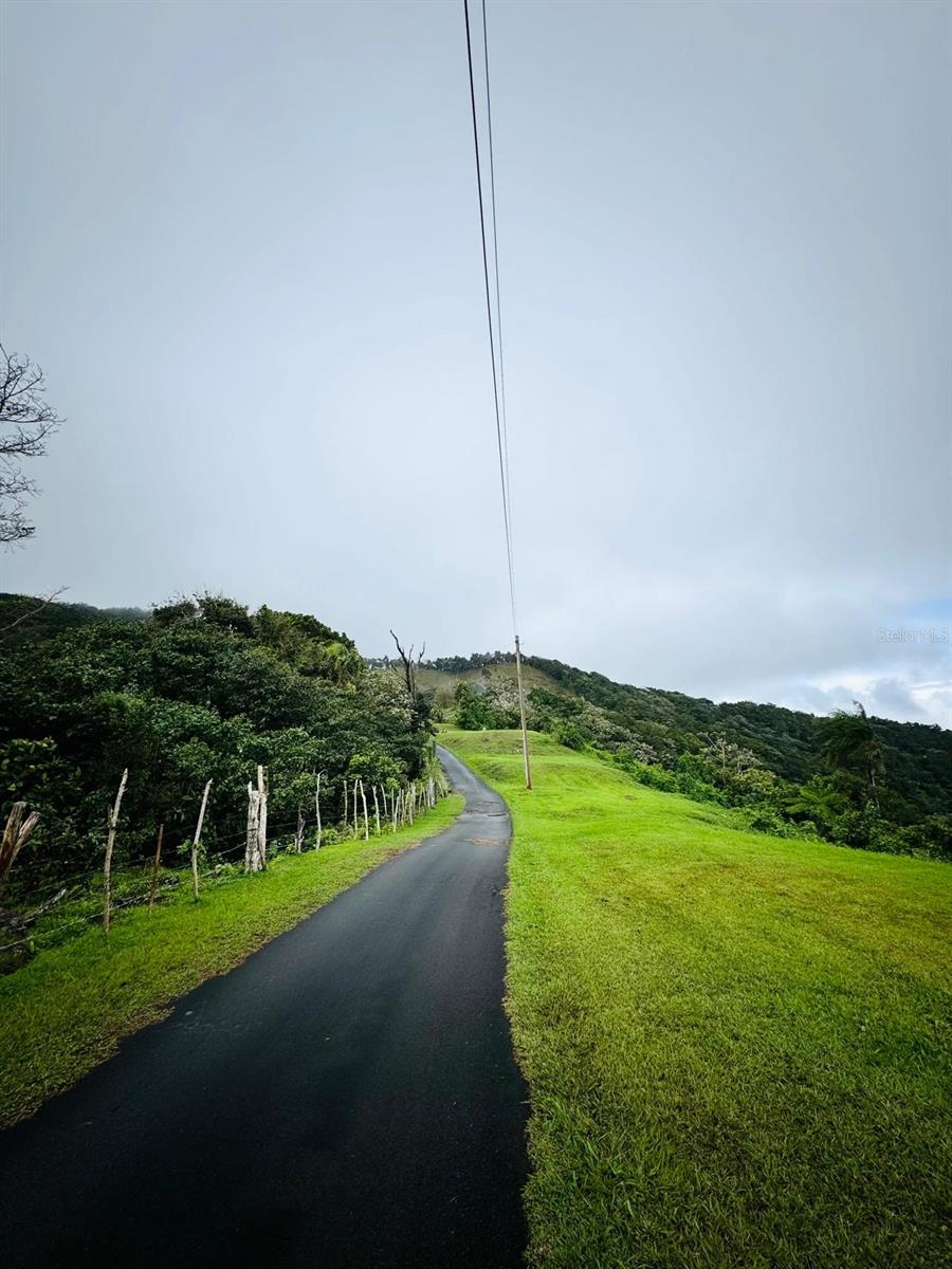YABUCOA — foto 6