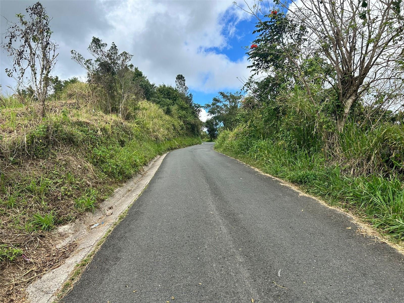 AIBONITO