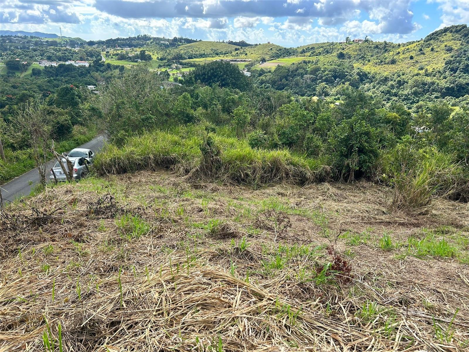 AIBONITO — foto 6