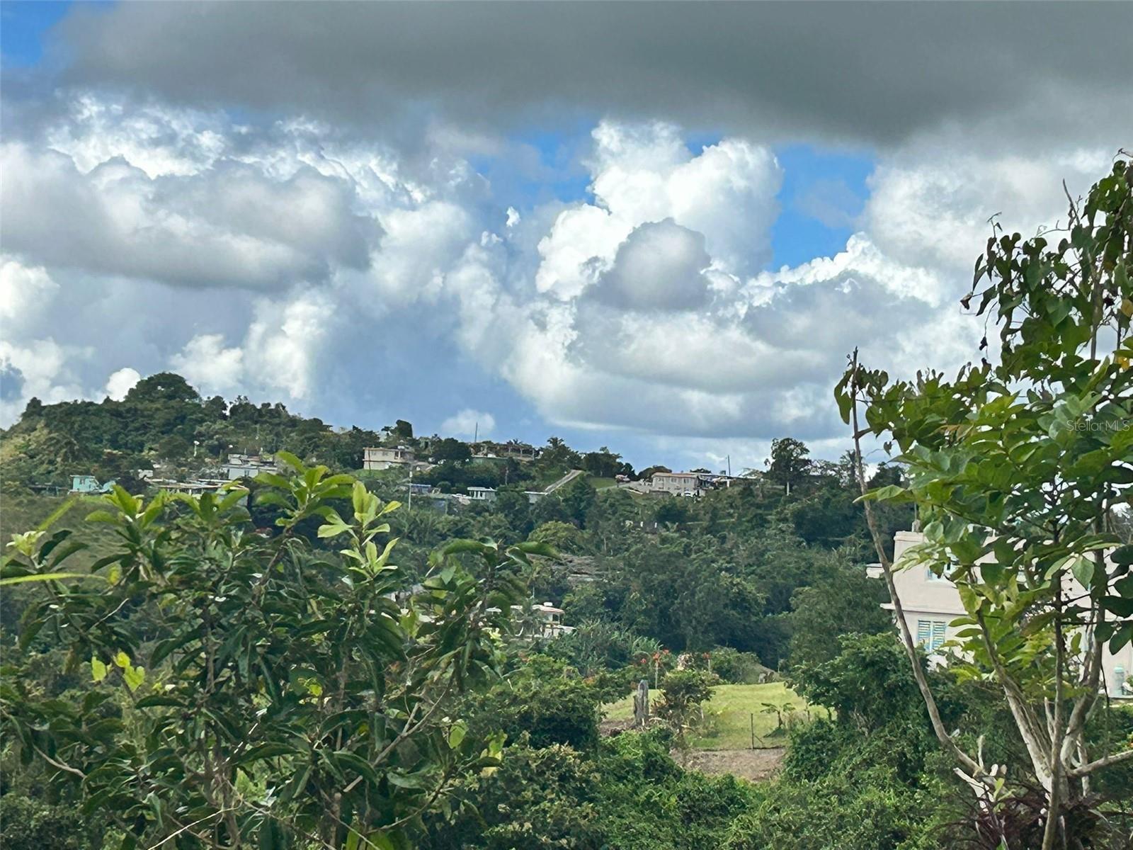 AIBONITO — foto 7