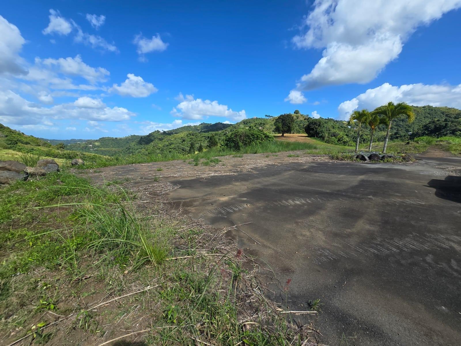 MOROVIS — foto 12