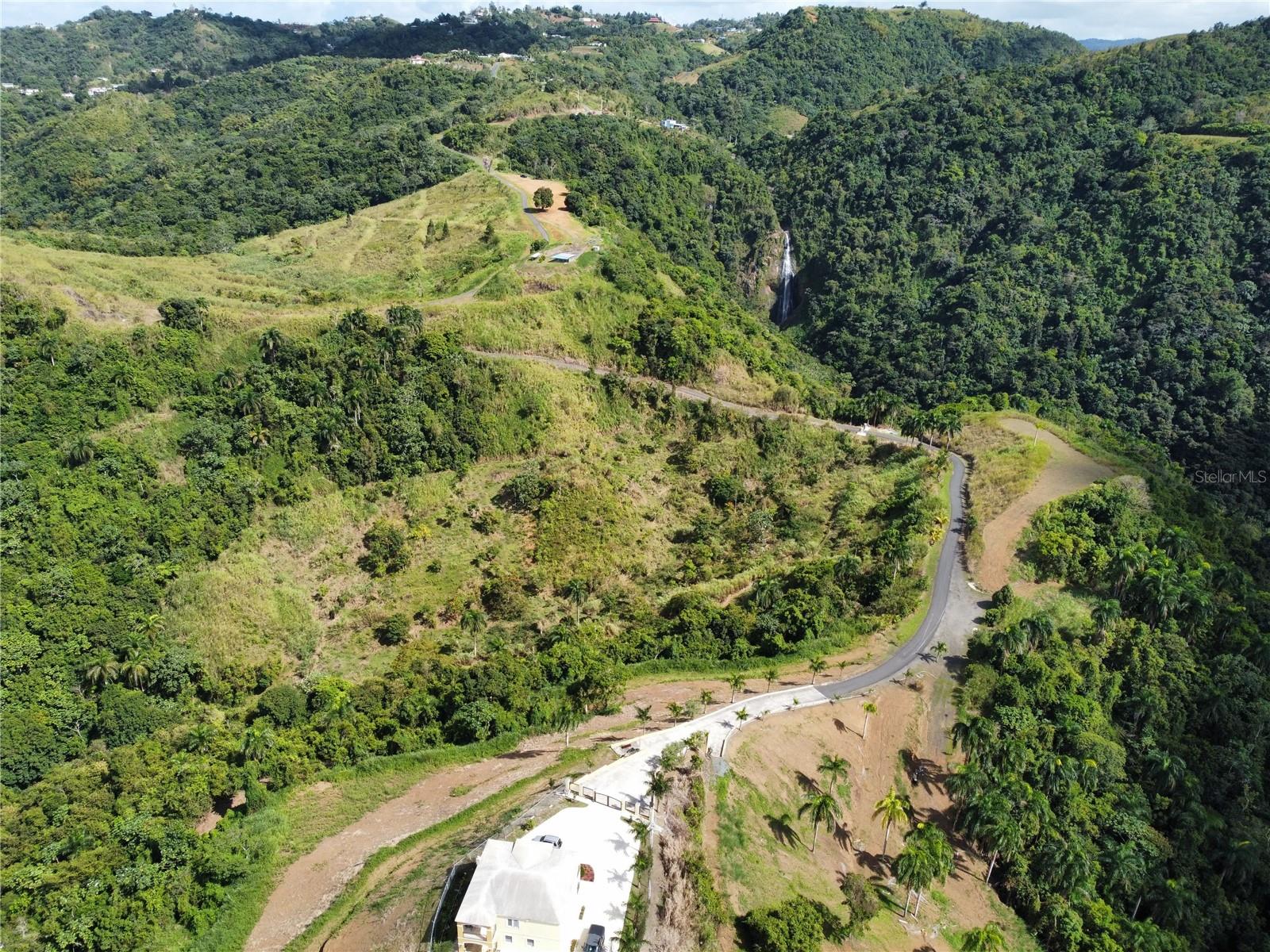 MOROVIS — foto 3