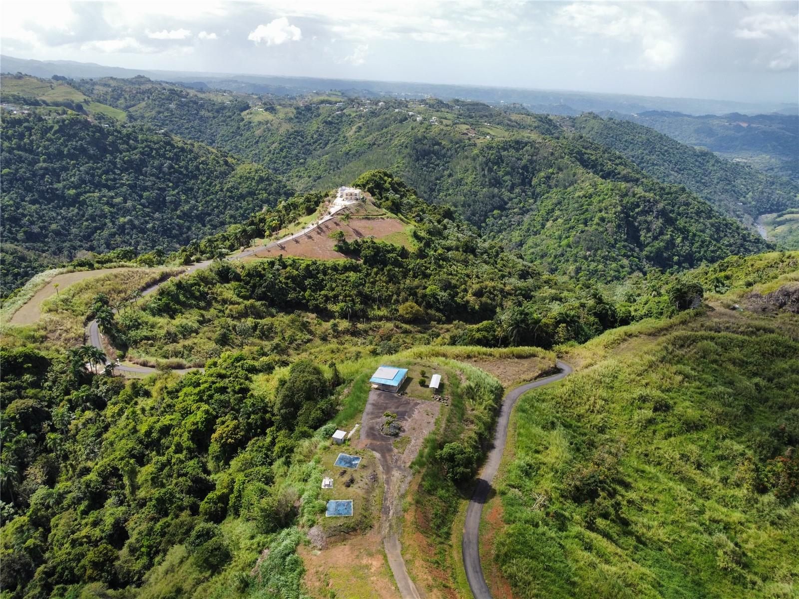 MOROVIS — foto 4