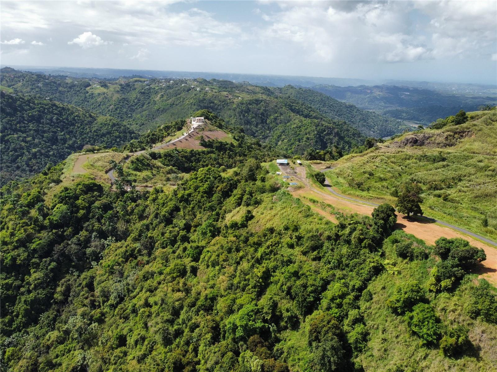 MOROVIS — foto 7