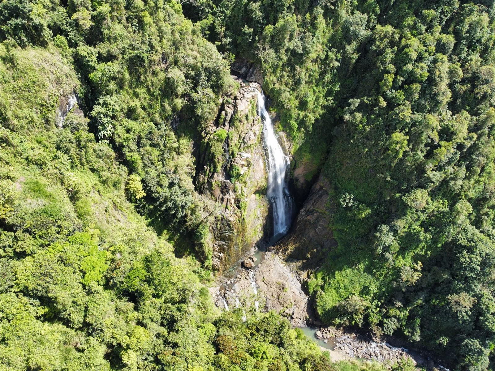 MOROVIS — foto 8