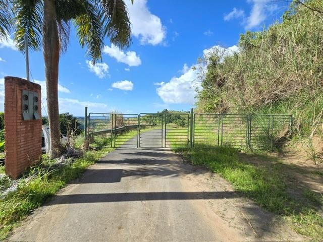 MOROVIS — foto 10