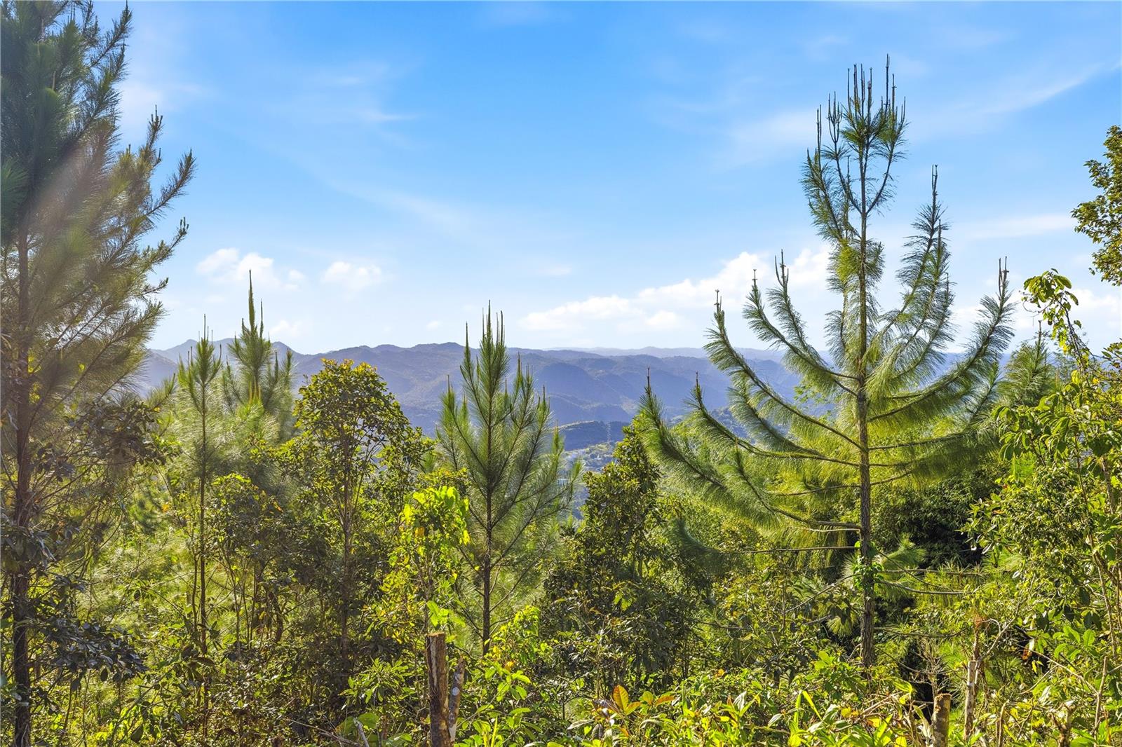 4 hab · 4 baños · CAYEY — foto 4