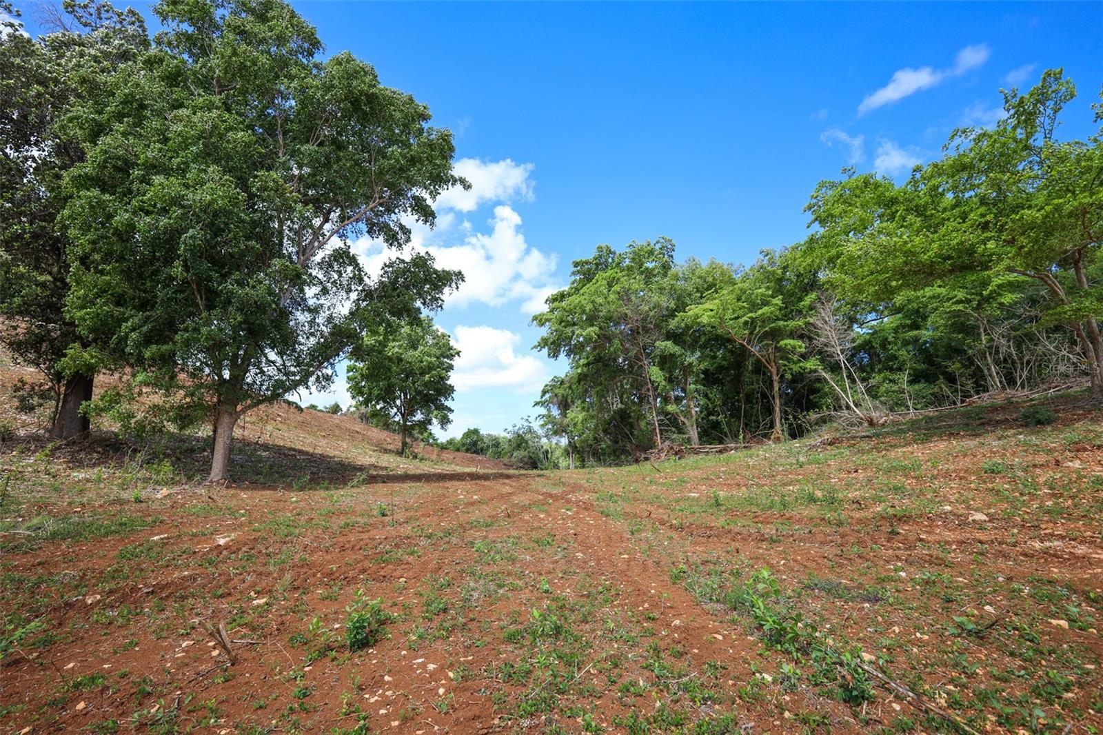 HATILLO — foto 11