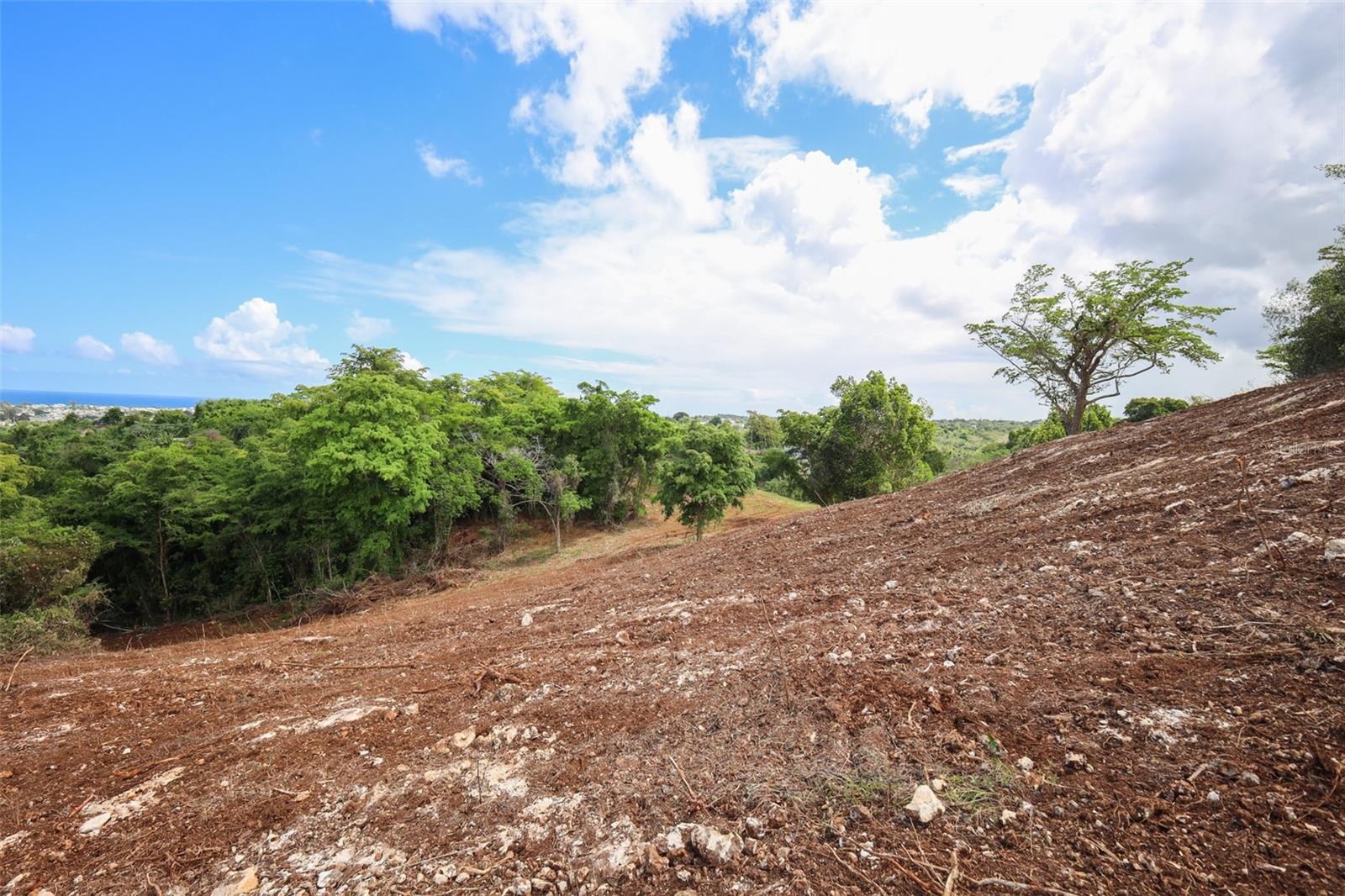 HATILLO — foto 5