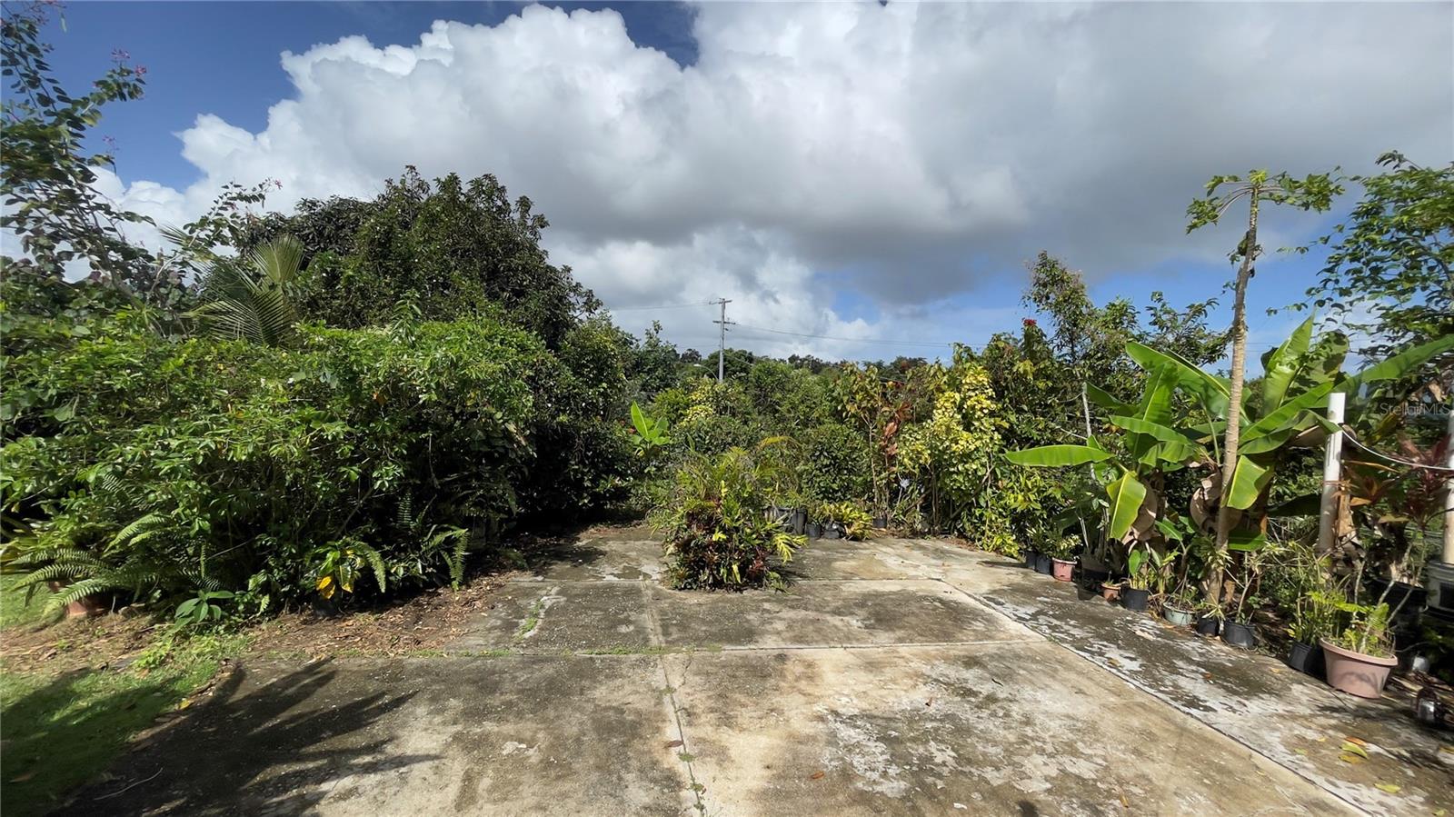 4 hab · 4 baños · HUMACAO — foto 6
