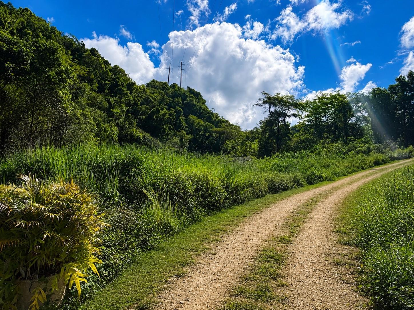 MANATI — foto 2
