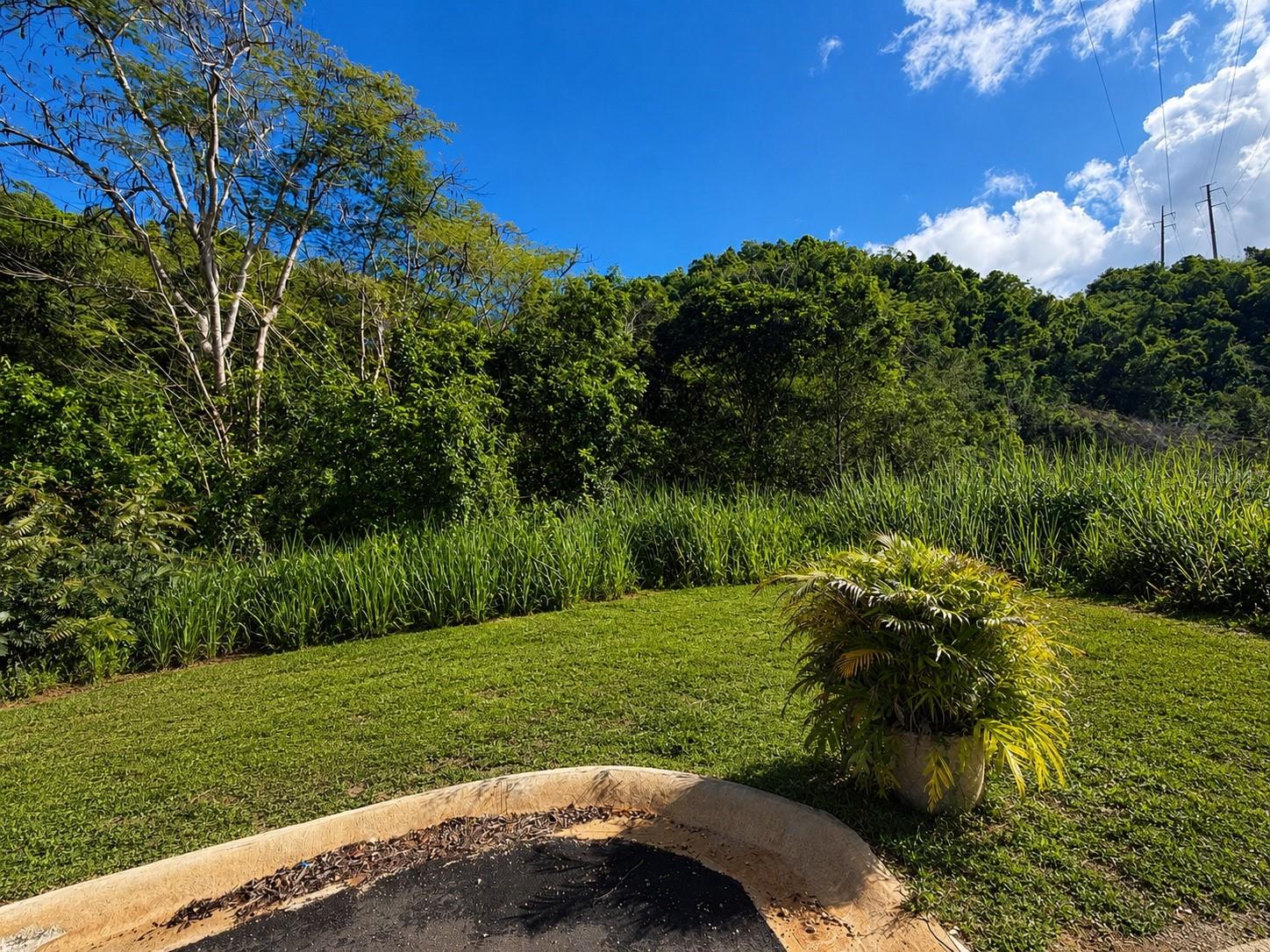 MANATI — foto 3