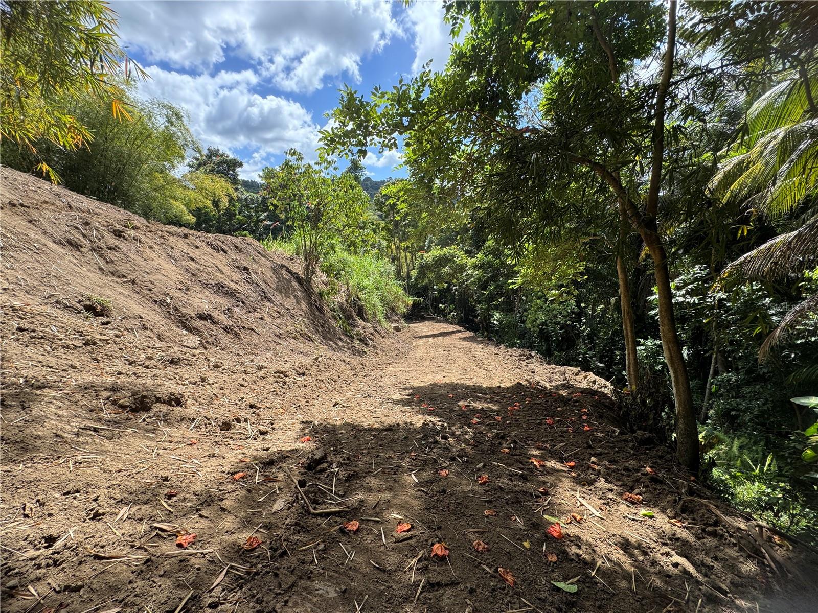 CAROLINA — foto 10