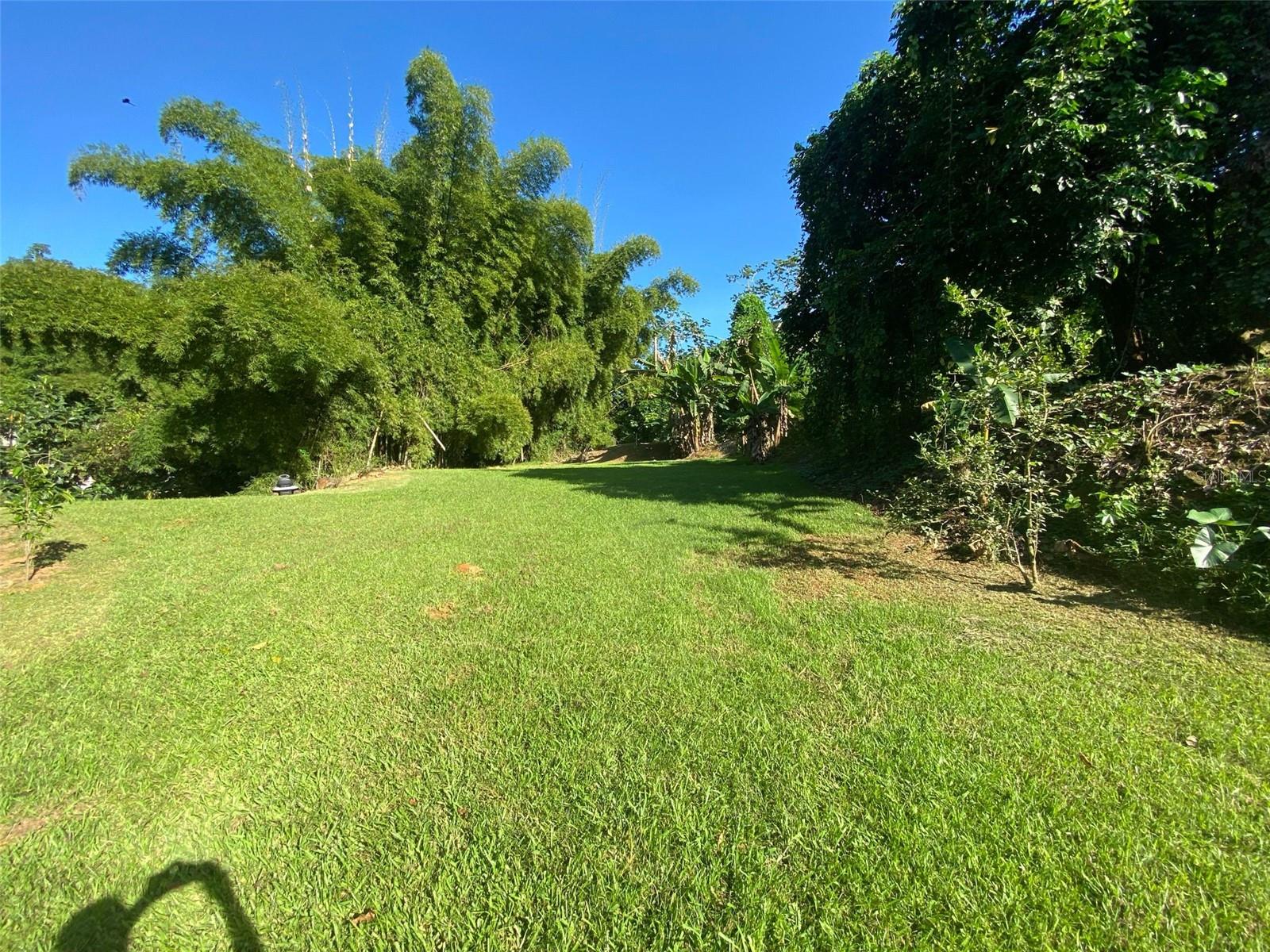 MAYAGUEZ