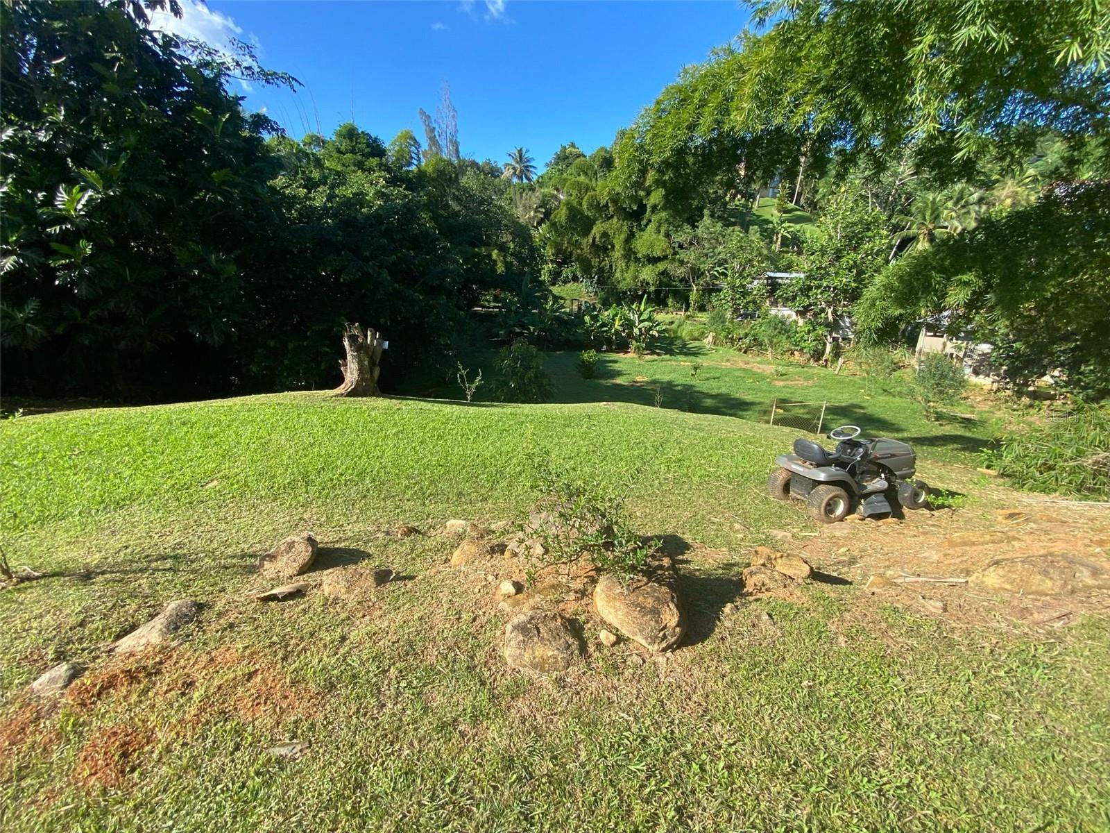 MAYAGUEZ — foto 2