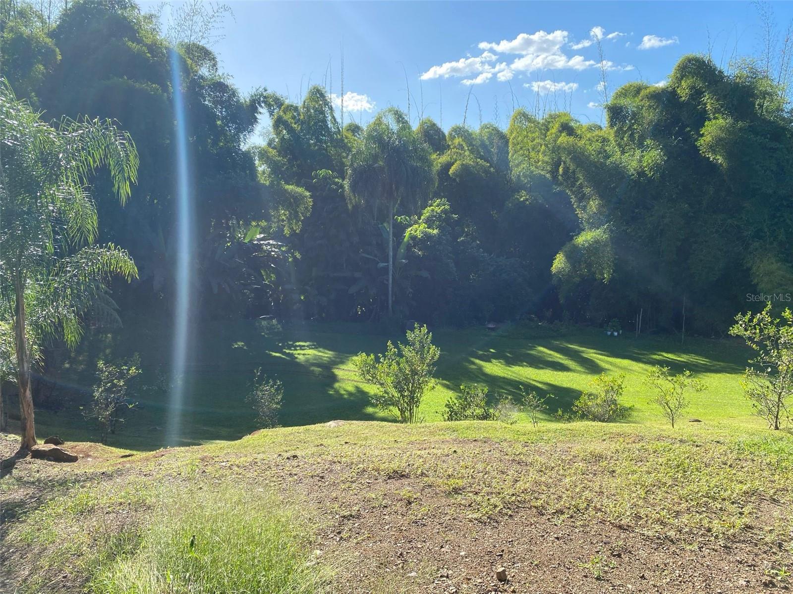 MAYAGUEZ — foto 11