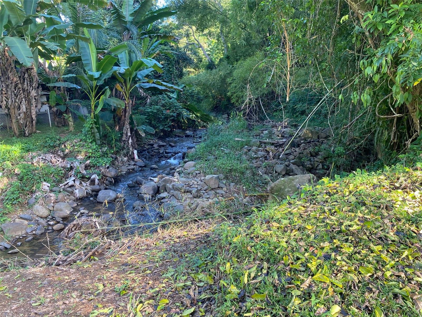 MAYAGUEZ — foto 3