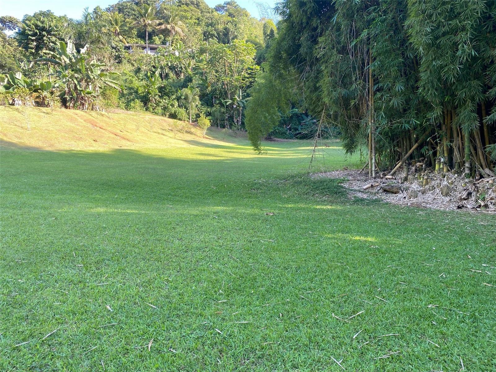 MAYAGUEZ — foto 4