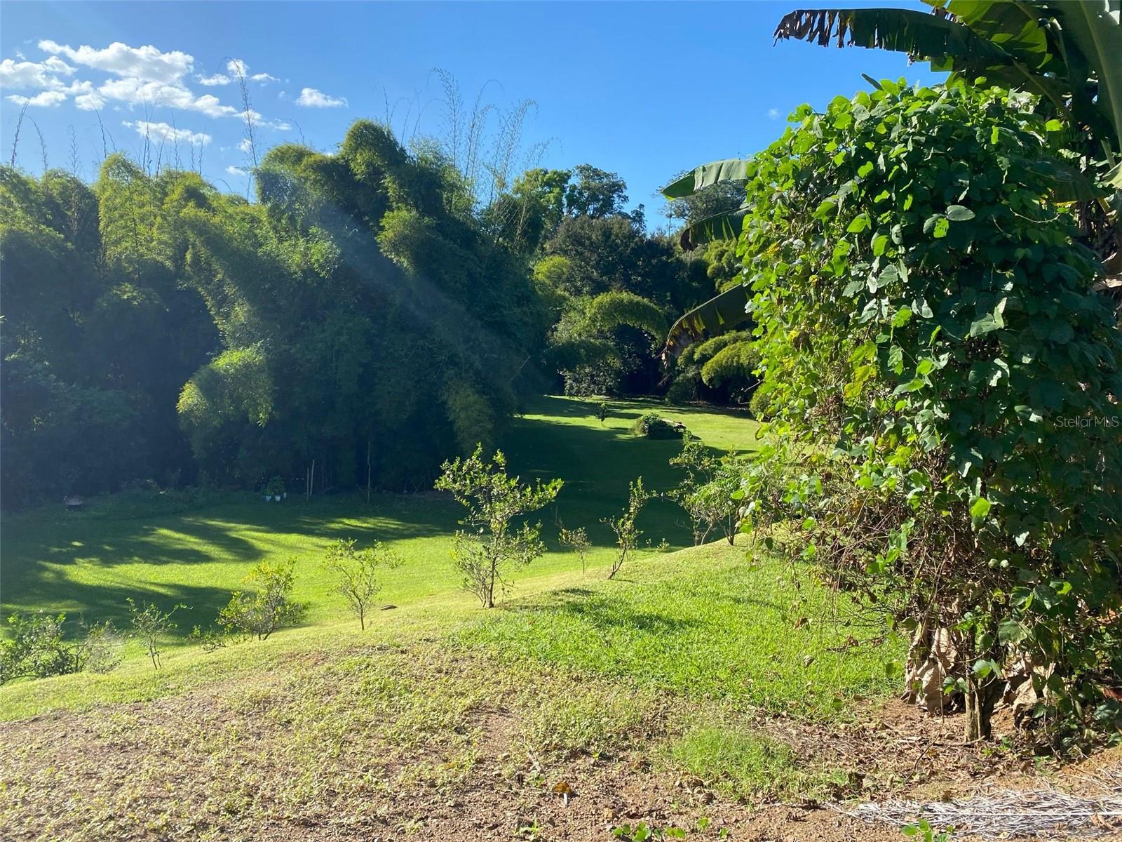 MAYAGUEZ — foto 8